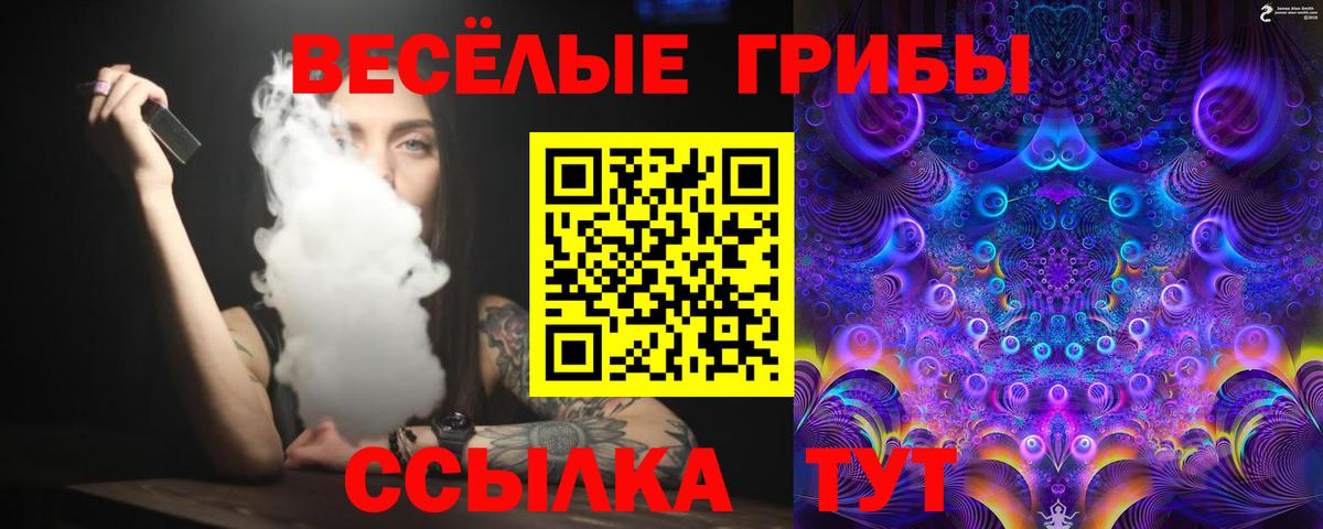 Псилоцибиновые грибы прущие грибы Керчь
